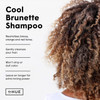 dpHUE Cool Brunette Shampoo 8.5 oz  Blue Pigments to Neutralize Unwanted Orange Red Brassy Tones  Moisturizing Shampoo for Soft Shiny Hair  GlutenFree