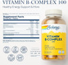 Solaray Vitamin B-Complex 100 | Supports Healthy Hair & Skin, Immune System Function, Blood Cell Formation & Energy Metabolism | 250 VegCaps
