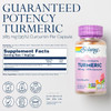 Turmeric Root Extract 300mg Solaray 120 VCaps