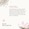 Rice milk and cherry blossom