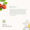 RITUALS Jing Body Cream Refill - Nourishing Body Cream with Sacred Lotus & Jujube - 7.4 Fl Oz