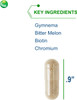 Nutra BioGenesis - Diabetone Plus - Gymnema, Bitter Melon, Biotin and Chromium to Help Support Metabolic Balance - 90 Capsules