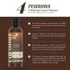 artnaturals Coconut-Lime Daily Shampoo – 16 Fl Oz - Professional Deep Hydrating Moisturizing For Curly Fine Oily Dry Damaged and Color Treated Hair