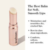 goop Clean Nourishing Lip Balm | Dermatologist Tested | 0.16 oz | Moisturizing Clean Lip Balm to Nourish Chapped, Cracked or Dry Lips | Paraben and Silicone Free