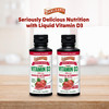 Barlean's Seriously Delicious Vitamin D3 Strawberry Milkshake 125 mcg (5000 IU)  5.6 oz