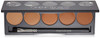 CINEMA SECRETS Pro Cosmetics Ultimate Foundation 5-In-1 Pro Palette, 400 Series