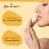 Cococare Cocoa Butter Lip Balm - The Little Yellow Stick - Conditions & Protects Lips with Hydrating Formula - Light Scent of Cocoa Butter - 0.15oz (10 Sticks)