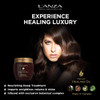 L'ANZA Keratin Healing Oil Intensive Hair Masque for Damaged Hair  Nourishes, Repairs, and Boosts Hair Shine and Strength for a Silky Look, Paraben-free, Gluten-free (7.1 Fl Oz)