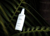 Leonor Greyl Paris - Algues Et Fleurs - Curl Enhancing Styling Spray - Curl Refresher Spray for Hair Styling (5.2 Oz)