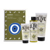 KORRES Olive Blossom Body Care Collection | Pure Greek Olive Shower Gel, Body Cream & Hand Cream, 3 Piece Set