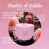 L'Erbolario Shades Of Dahlia Perfumed Body Cream - Citrus And Floral Fragrance - Leaves Skin Shining With Beauty - Smooths And Nourishes The Skin - Has Moisturizing And Softening Properties - 10.1 Oz