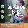 Bronson Methyl B12 5000 Mcg Vitamin B12 Methylcobalamin Energy & Brain Support 60 Lozenges