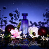 Christina Aguilera Moonlight Bloom Eau de Parfum, Fragrance for Women, 30ml Christina Aguilera Moonlight Bloom Eau de Parfum, Fragrance for Women, 30ml