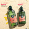 L'OCCITANE Intensive Repair Conditioner 250ml, For Dry & Damaged Hair, Silicone Free, Vegan Formula, Luxury Hair Care L'OCCITANE Intensive Repair Conditioner 250ml, For Dry & Damaged Hair, Silicone Free, Vegan Formula, Luxury Hair Care