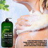 MAJESTIC PURE Tea Tree Body Wash with Collagen - Helps Nail Fungus, Athletes Foot, Ringworms, Jock Itch, Acne, Eczema & Body Odor - Soothes Itching - (Packaging May Vary), Set of 2, 16 fl oz