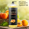 MAJESTIC PURE Apricot Oil, 100% Pure and Natural, Cold-Pressed, Apricot Kernel Oil, Moisturizing, for Skin Care, Massage, Hair Care, and to Dilute Essential Oils, 16 fl oz