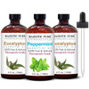 Majestic Pure Peppermint Essential Oil and Eucalyptus Essential Oil Bundle - Great 2 Eucalyptus Plus 1 Peppermint Oil Combo for Aromatherapy, Massage, Topical and Household Uses - 4 fl oz Each