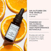 Odacite 15% Vitamin C Serum for Anti Aging & Hyperpigmentation - An Autumn On The World Private Collection - Glow Recipe Facial Serum Concentrate for Dark Spots, Moisturizer Oil, Fine Lines & Wrinkles Remover, 0.5 fl. oz