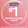 Softsoap Warm Vanilla & Coconut Milk Scent Liquid Hand Soap, Moisturizing Liquid Hand Soap, 11.25 Ounce, 6 Pack