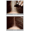 Cover Your Gray Hair Color Touch-Up Stick - Jet Black