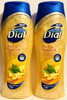 Dial Moisturizing Body Wash - Silk & Ginger - Net Wt. 16 FL OZ (473 mL) Per Bottle - Pack of 2 Bottles
