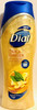 Dial Moisturizing Body Wash - Silk & Ginger - Net Wt. 16 FL OZ (473 mL) Per Bottle - Pack of 2 Bottles