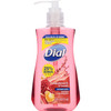 DIA02795 - Dial Pomegranate Antibacterial Hand Soap