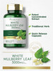 Carlyle Mulberry Leaf Extract | 3000Mg | 100 Capsules | Non-Gmo And Gluten Free Herbal Supplement