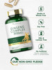 Carlyle Ginseng Extract Complex | 200 Capsules | Non-GMO and Gluten Free Formula | Traditional Herbal Root Supplement