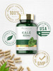 Carlyle Kale Extract 800mg | 120 Capsules | Non-GMO and Gluten Free