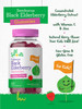 Elderberry Gummies for Kids | 120 Count | Zinc and Vitamin C | Natural Berry Flavor | Vegan, Non-GMO, and Gluten Free | by Lil' Sprouts