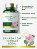 Banaba Leaf Extract Capsules 600mg | 200 Count | Non-GMO, Gluten Free | by Carlyle