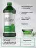 Liquid Chlorophyll 100mg | 32 oz (2 x 16 oz Bottles) | Natural Peppermint Flavor | Vegetarian, Non-GMO, and Gluten Free Formula | by Horbaach