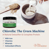 Live Conscious Beyond Greens & Beyond Brew | Delicious Greens Powder for Bloating + Mushroom Superfood Coffee Alternative Caffeine Free