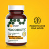 MoodBiotic Probiotics for Women & Men - Probiotic Lactobacilli Supplement w/ 6 Billion CFU for Better Mood, Stress Management, Improved Cognition & Gut Health (30ct) - w/ Cerebiome