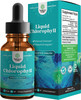 Natural Chlorophyll Liquid Drops for Water - Liquid Chlorophyll Mint Flavored for Digestive Support Bad Breath Gut Health Liver Support Whole Body Cleanse Anti Aging Skin Care and Immune Support 2oz