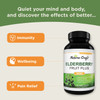 Black Elderberry Capsules Antioxidant Supplement - Elderberry Immune Support Skin Supplement with Skin Vitamins and Sambucus Elderberry Extract - Elderberry Supplement Immune System Support Supplement