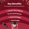 Advanced Tart Cherry Extract Capsules - Extra Strength Tart Cherry Capsules Uric Acid Cleanse and Joint Support Supplement - Muscle Recovery Supplement with Uric Acid Support Polyphenols - 2 Pack