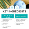 VITAMINS AND SEA BEAUTY, Exfoliating Face Mask Deep Cleansing Purifying Blackhead Pore Control with Blue Sea Kale and Grapefruit, Skincare for All Skin Types, 8.5 Fl Oz