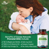 Zazzee Extra Strength Prenatal DHA and Extra Strength Prental Multi Complex