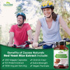 Zazzee Extra Strength Red Yeast Rice 10:1 Extract Capsules 1200 mg, Citrinin Free, 200 Vegan Capsules, Non-Irradiated, Non-GMO and All-Natural, Supports Cardiovascular and Blood Circulation Health