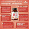 Zazzee BioImmune Grapefruit Seed Extract GSE 500 mg 100 Vegan Capsules, High Absorption, Potent Immune Support Blend, 10:1 Extract, Non-GMO and All-Natural