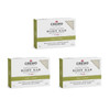 Cremo Exfoliating Body Bars Sage  Citrus  A Combination of Lava Rock and Oat Kernel Gently Polishes While Shea Butter Leaves Your Skin Feeling Smooth and Healthy Pack of 3