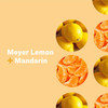 Everyone Liquid Hand Soap Refill 32 Ounce Pack of 2 Meyer Lemon and Mandarin