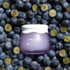 FRUDIA Blueberry Hydrating Cream 55g / 1.94 oz. Eve Vegan/Cruelty Free/Clean beauty