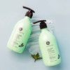 Luseta Tea Tree and Mint Shampoo 16.9 Oz