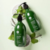 Luseta Tea Tree Shampoo  Conditioner Set 16.9oz each and Tea TreTea Tree Oil Body Wash with Mint 16.9oz