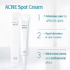 Pyunkang Yul Acne Spot Cream  Acne Skin Care Spot Treatment for Face  Rapid Alleviation of Skin Troubles  Salicylic acid BHA  Natural Ingredients from Oriental Medicine  Minimize Pores 0.5 Fl Oz