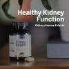 Kidney Health Support Supplement  Kidney Cleanse  Detox Kidney Support Formula  Uva Ursi Capsules  Cranberry Supplement Kidney Vitamins Detox Formula 15 Active Plants  Herbs 60 Capsules