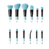 Coastal Scents 12 Set in Powder Blue Brush Affair Collection
